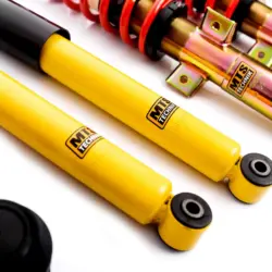 Suspensie reglabila MTS Technik pentru BMW Z4 Roadster (E85) 3.0 i 170 kW seria Stance Gold 5 suspensie reglabila MTS BMW Z4 Roadster (E85)