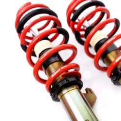 Suspensie reglabila MTS Technik pentru Audi TT Roadster (FV) 2.0 TFSI 169 kW seria Street Gold 5 MTSGWVW53 2