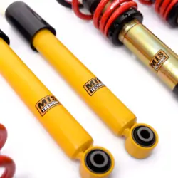 Suspensie reglabila MTS Technik pentru Volkswagen TIGUAN (5N) 2.0 TSI 4motion 155 kW seria Street Gold 6 MTSGWVW56 2