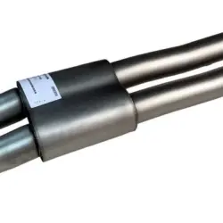 Alternative view of Toba sport REMUS sistem Cat-Back pentru FORD Mustang VI Facelift S550 Cat-Back | 4x GT Titanium Scotched Tips